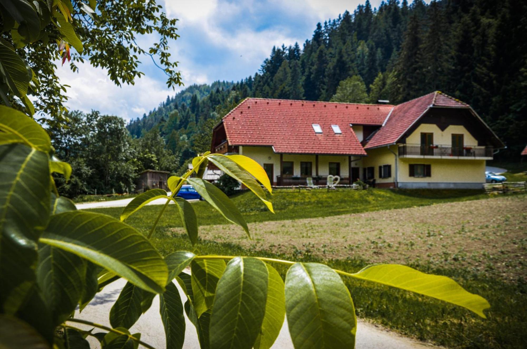 Farm Stay Loger Ljubno Zewnętrze zdjęcie